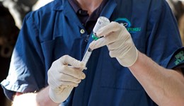 Demonstrating responsible antibiotic use with Medicine Hub